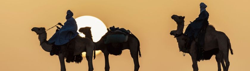 Dubai en Midden Oosten cruise overzicht